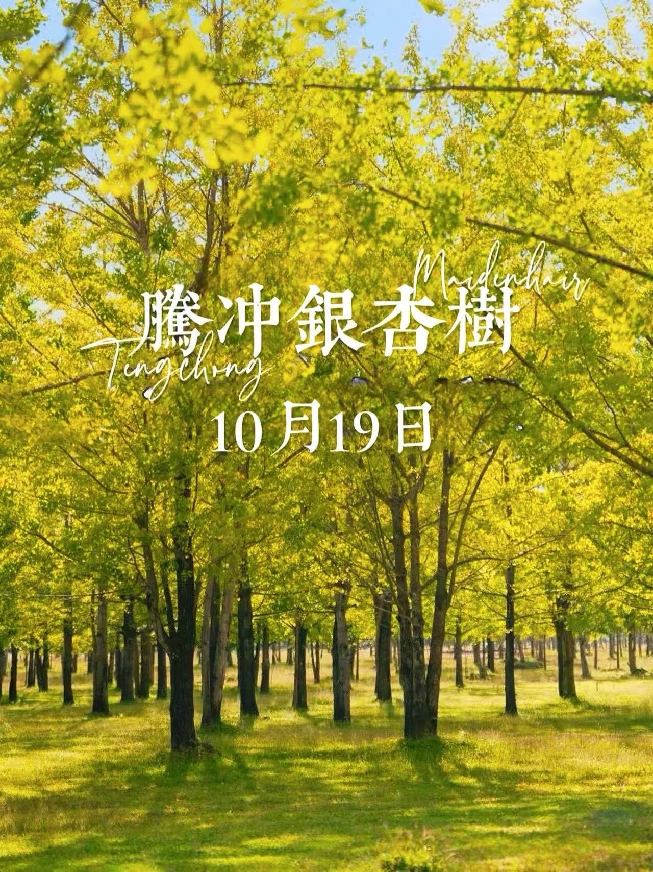 wechat_upload176085238868f479a4c94d3