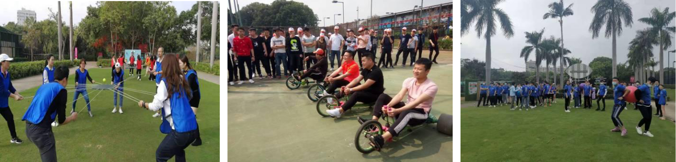 图片5