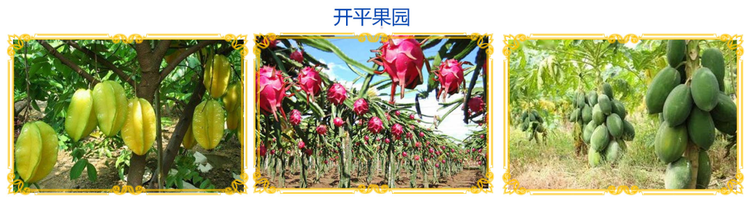 WPS图片-修改尺寸(13)