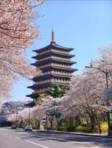 韩国