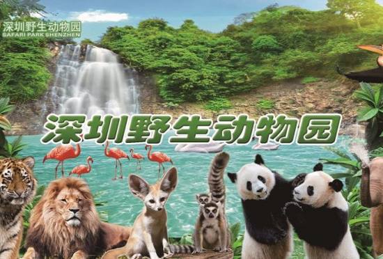  深圳野生动物园