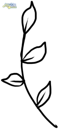 配图2