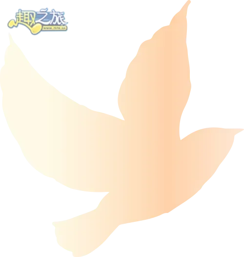 配图12